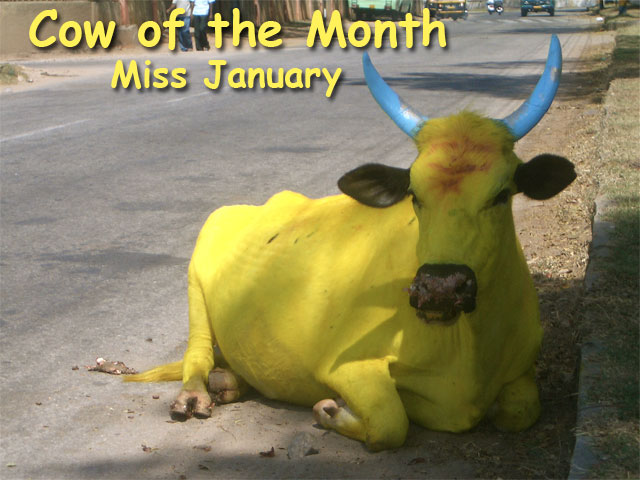 Miss January