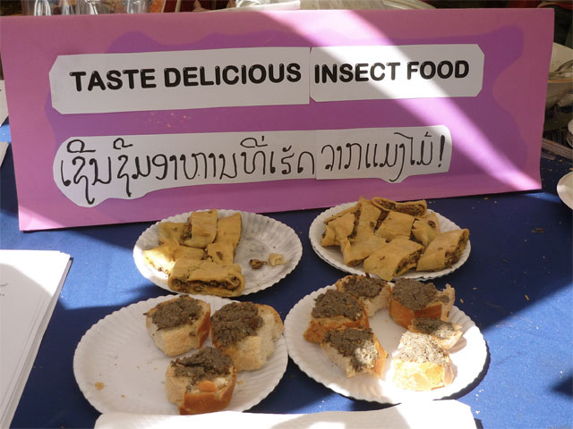 Insect Food