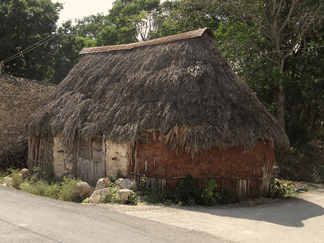 Palapa