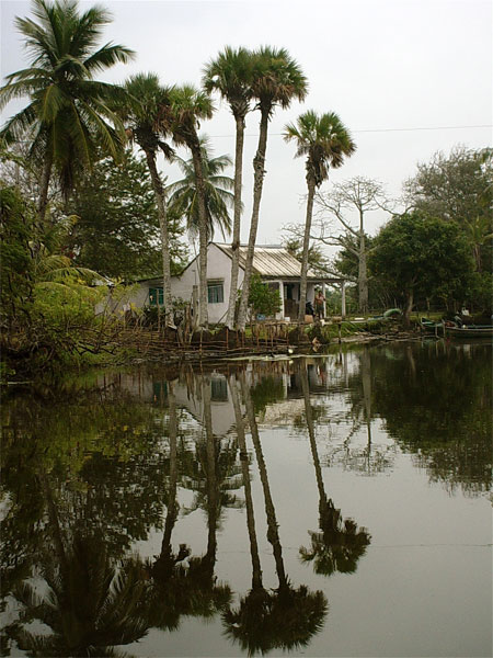 River View