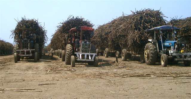 Sugar Trolleys