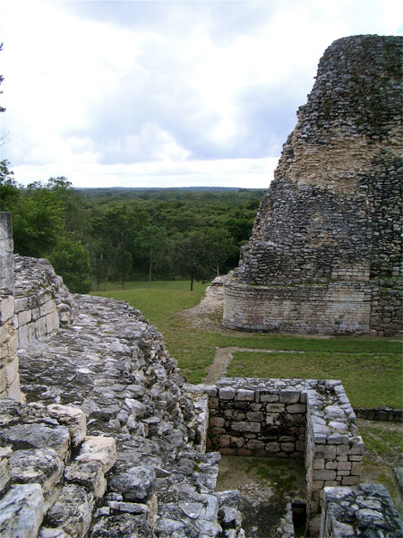 Mayan Landscape