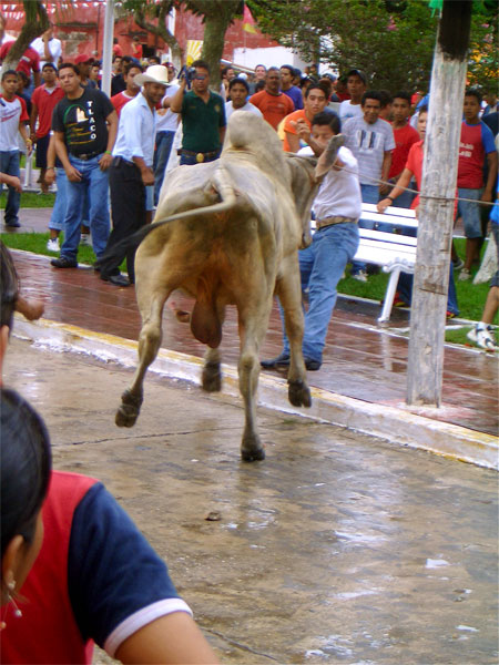 El Toro 2