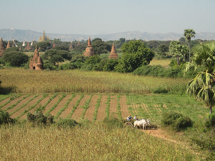 Bagan Site